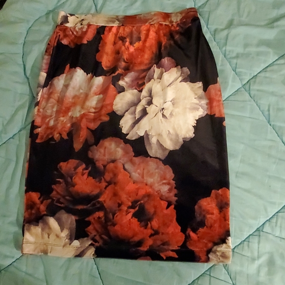 Skirt - Picture 1 of 2